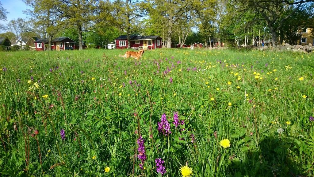 Stf Hagaby/Lantgarden Hostel Löttorp Extérieur photo